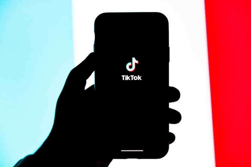 TikTok'ta Viral Olan 2024 Trendleri